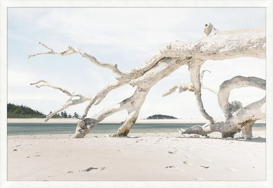 Wendover Art Group - DriftWood Composition, White - WPH1942 veiw 1