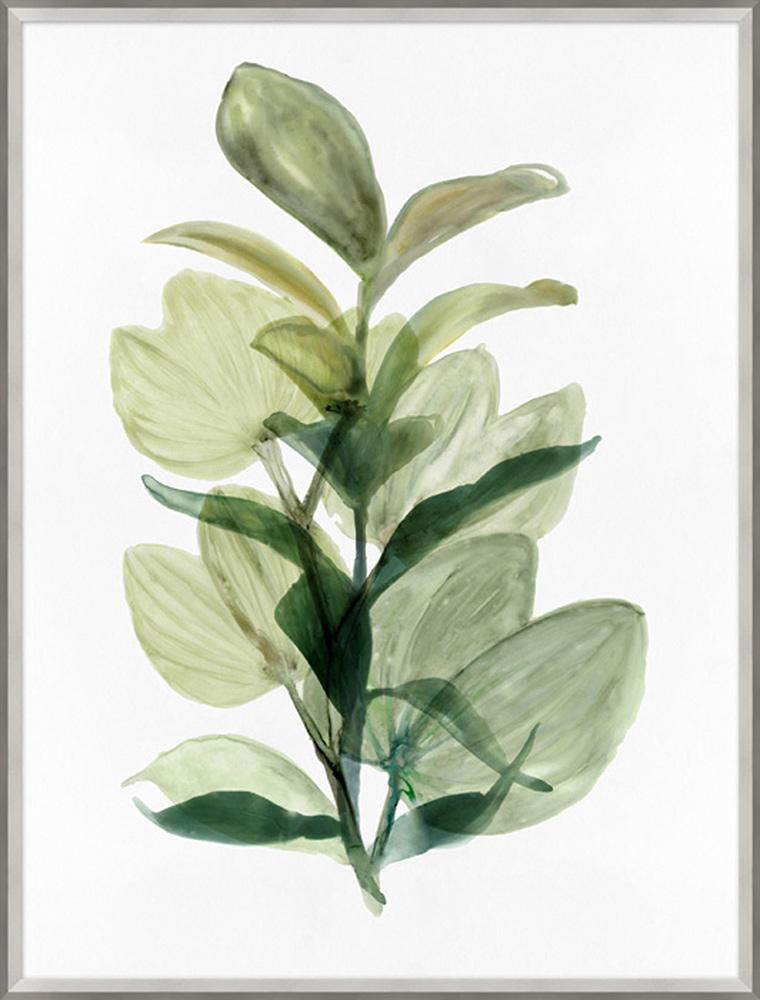 Wendover Art Group - Fresh Market 1, Silver - WNT1506 veiw 1