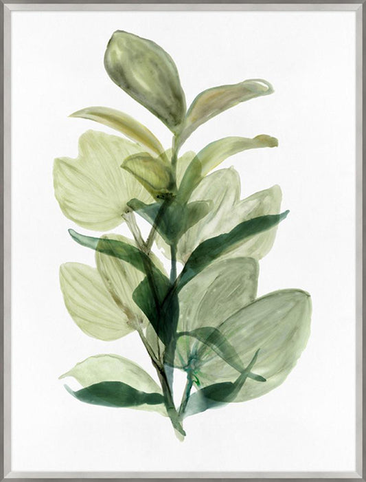 Wendover Art Group - Fresh Market 1, Silver - WNT1506 veiw 1