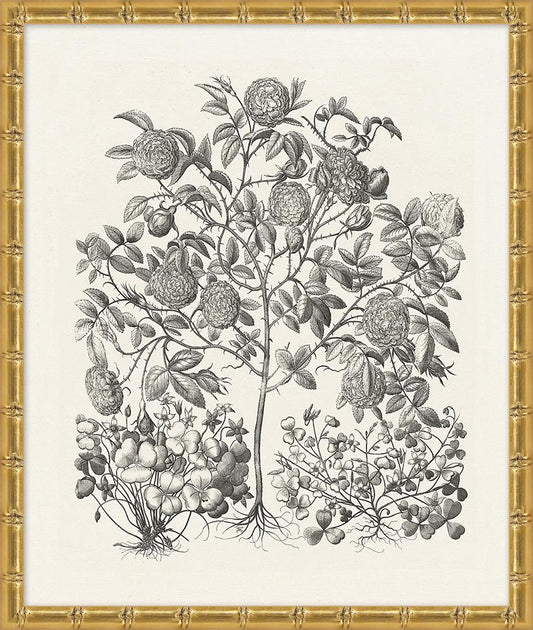 Wendover Art Group - Lillian August Bessler Study in Neutral 1, Gold Bamboo - WLA1046 veiw 1