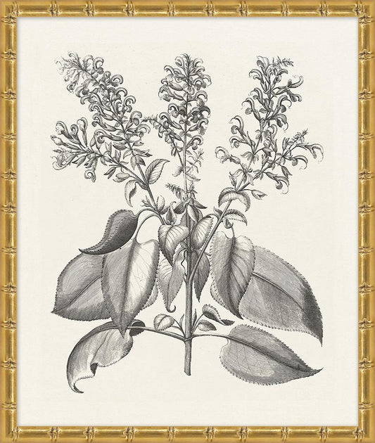 Wendover Art Group - Lillian August Bessler Study in Neutral 10, Gold Bamboo - WLA1055 veiw 1