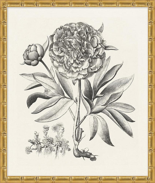 Wendover Art Group - Lillian August Bessler Study in Neutral 2, Gold Bamboo - WLA1047 veiw 1