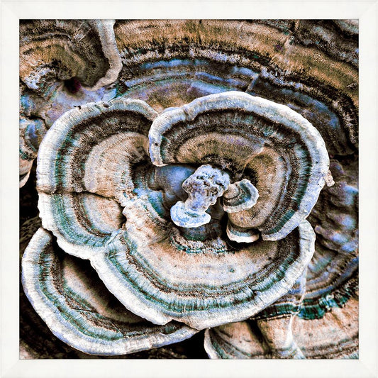 Wendover Art Group - Lillian August Champignon 1, White - WLA2010 veiw 1