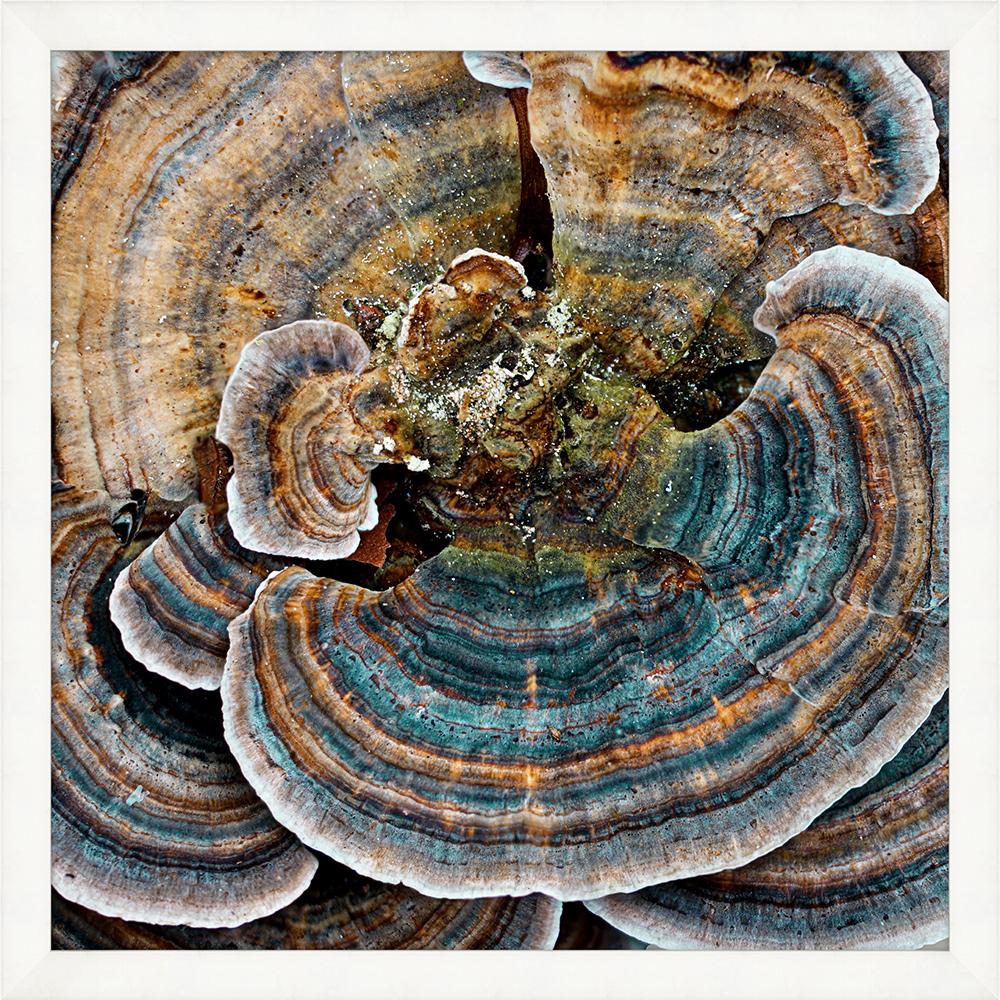 Wendover Art Group - Lillian August Champignon 3, White - WLA2012 veiw 1