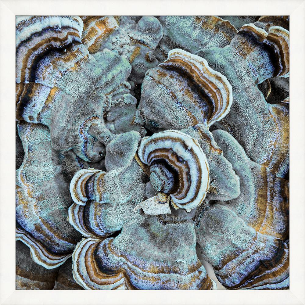 Wendover Art Group - Lillian August Champignon 4, White - WLA2013 veiw 1