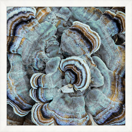 Wendover Art Group - Lillian August Champignon 4, White - WLA2013 veiw 1
