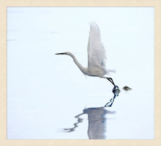 Wendover Art Group - Lillian August Coastal Morning 1, Pickled White - WLA1348