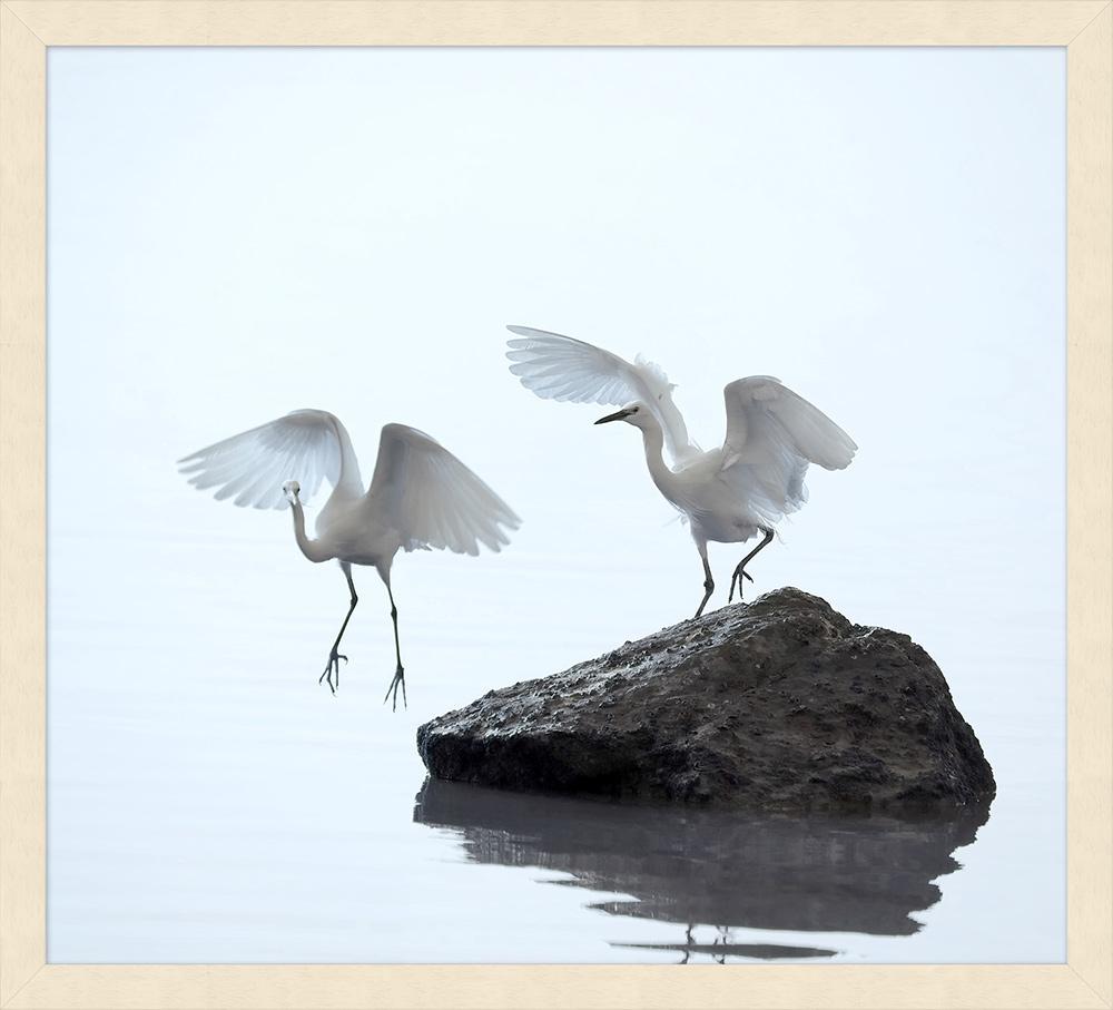 Wendover Art Group - Lillian August Coastal Morning 2, Pickled White - WLA1349 veiw 1