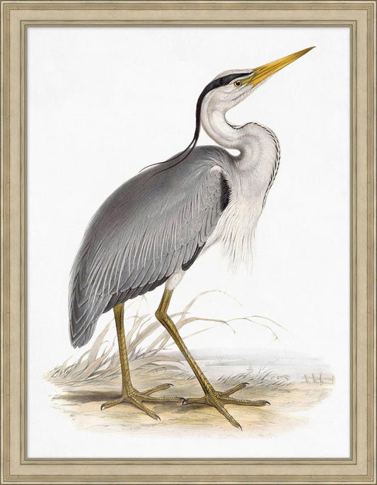 Wendover Art Group - Lillian August Coastal Ornithology 3, Silver Leaf - LA4087 veiw 1