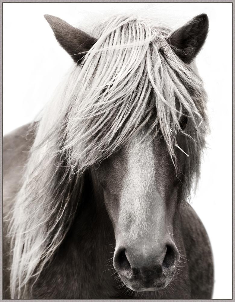 Wendover Art Group - Lillian August Fabled Stallion, Floater Frame - Gray Driftwood - WLA1832 veiw 1