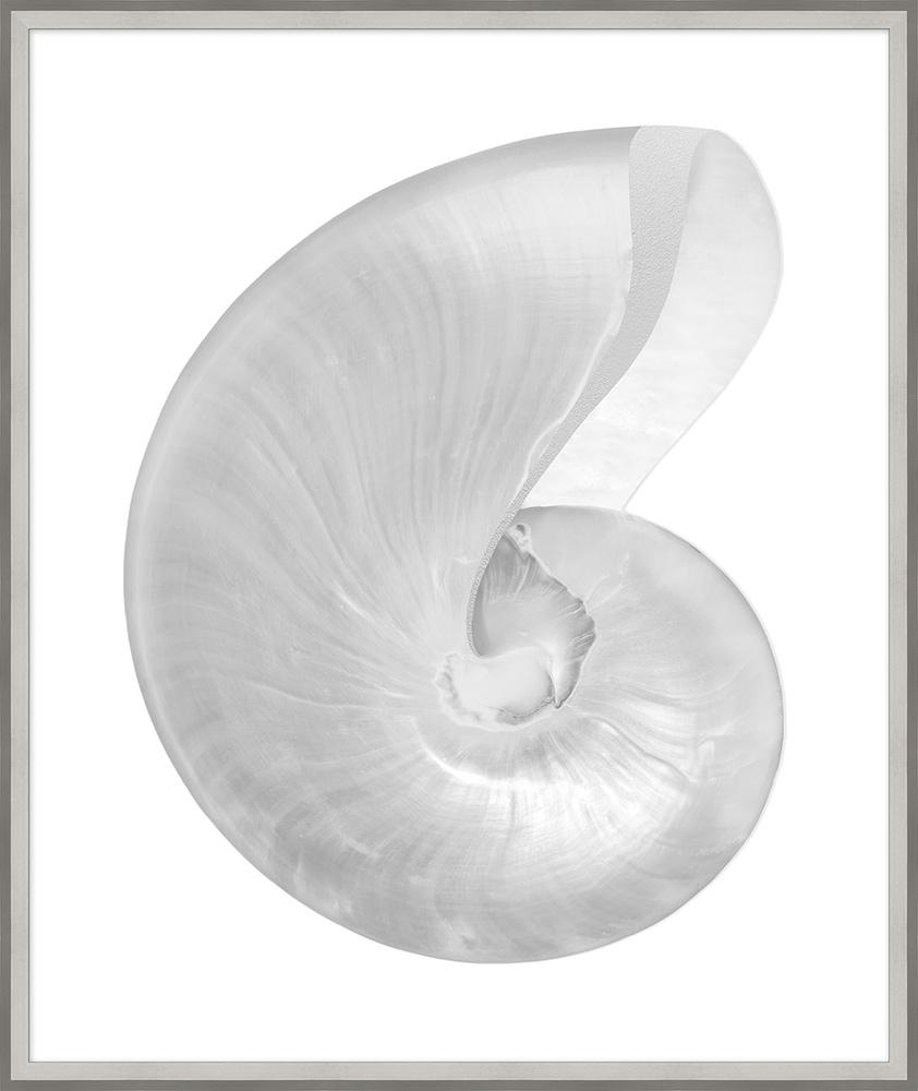 Wendover Art Group - Lillian August Silver Leafed Shell 3, Silver - WLA1029 veiw 1