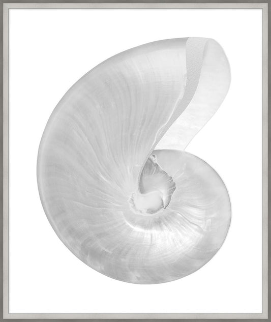 Wendover Art Group - Lillian August Silver Leafed Shell 3, Silver - WLA1029 veiw 1