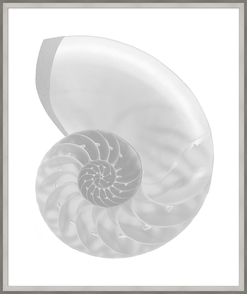 Wendover Art Group - Lillian August Silver Leafed Shell 4, Silver - WLA1030 veiw 1