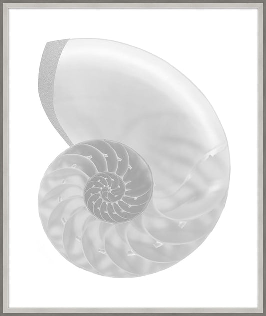 Wendover Art Group - Lillian August Silver Leafed Shell 4, Silver - WLA1030 veiw 1