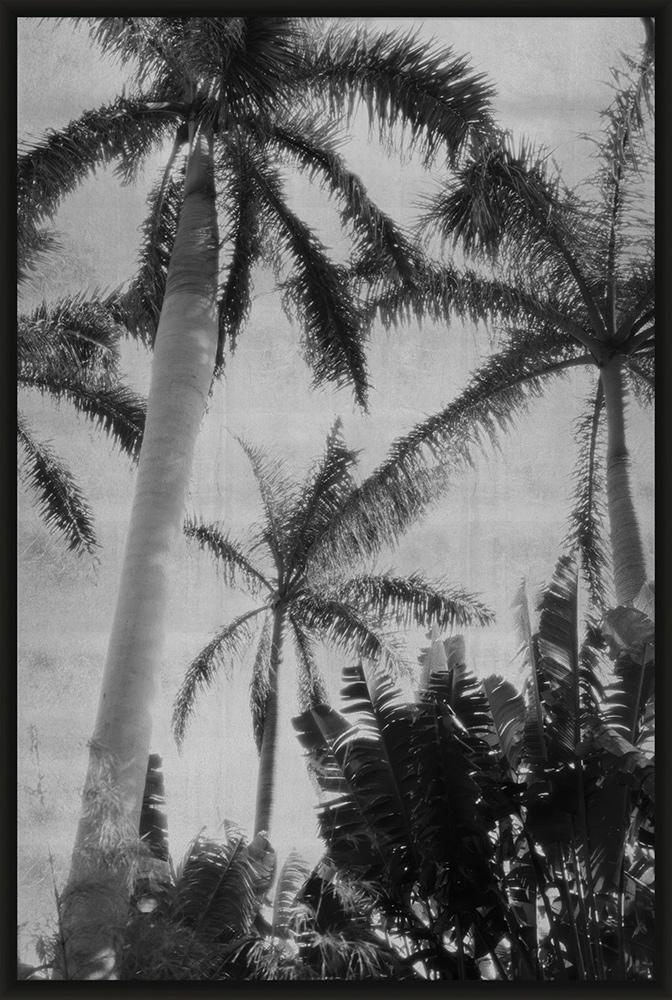 Wendover Art Group - Lillian August Silver Palms 3, High Gloss Black - WLA1096 veiw 1