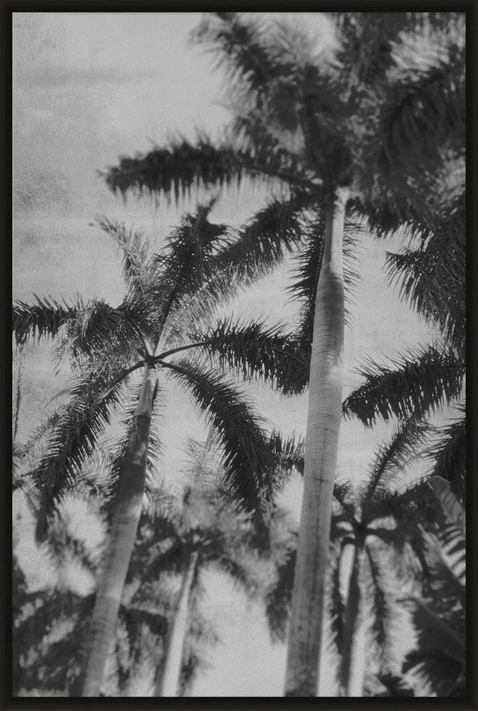 Wendover Art Group - Lillian August Silver Palms 4, High Gloss Black - WLA1097 veiw 1