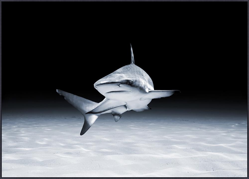 Wendover Art Group - Mat Sanders Swimming 2, Floater Frame - Matte Black - WMS0006 veiw 1