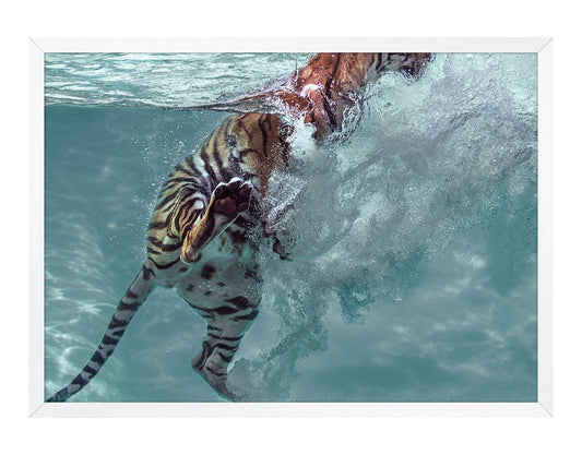 Wendover Art Group - Mat Sanders Tiger Swim 1, White - WCON012 view 1