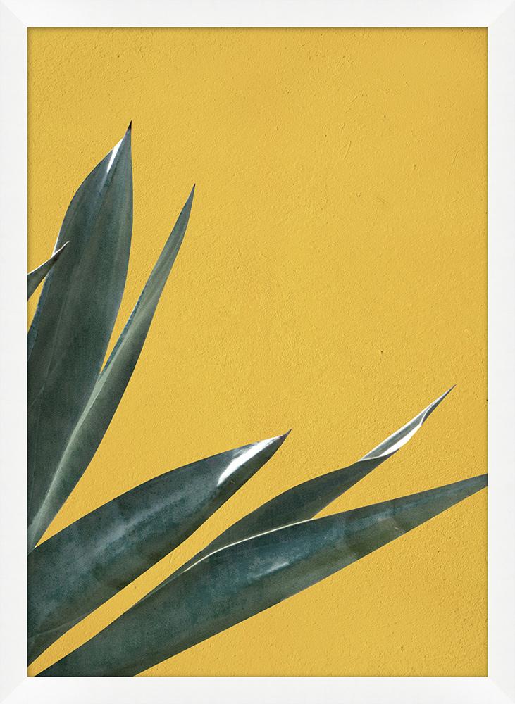 Wendover Art Group - Nathan Turner Agave Color 4, Matte White - WTUR0196 veiw 1