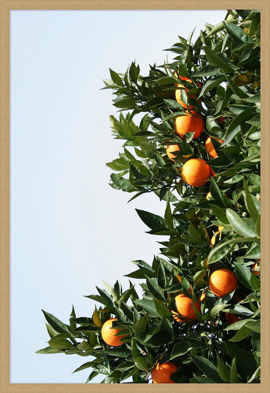 Wendover Art Group - Nathan Turner Orange Tree 1, Natural Woodgrain - WTUR0048 veiw 1