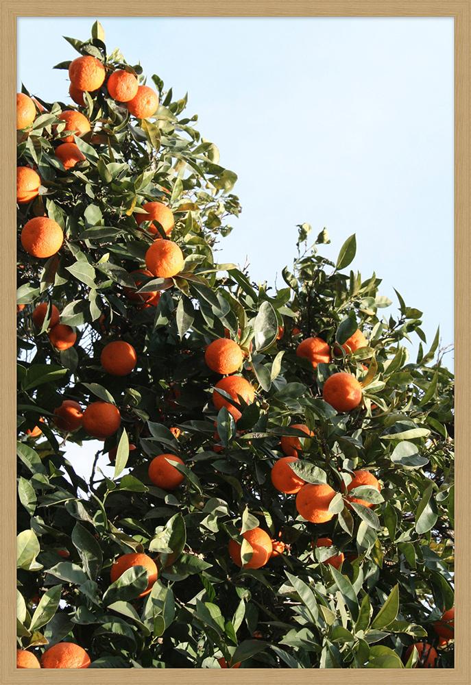 Wendover Art Group - Nathan Turner Orange Tree 2, Natural Woodgrain - WTUR0049 veiw 1