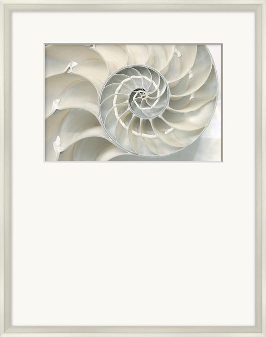 Wendover Art Group - Pearl Swirl 1, Silver - WPH1911 veiw 1