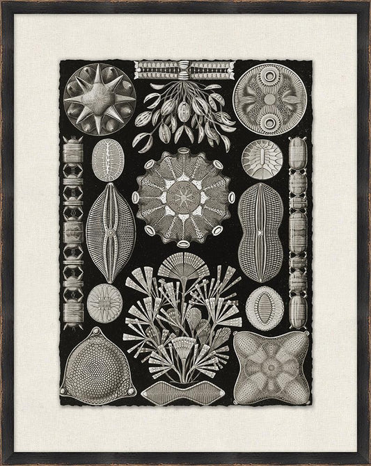 Wendover Art Group - Sea Collage 2, Distressed Black - WVT1541 veiw 1