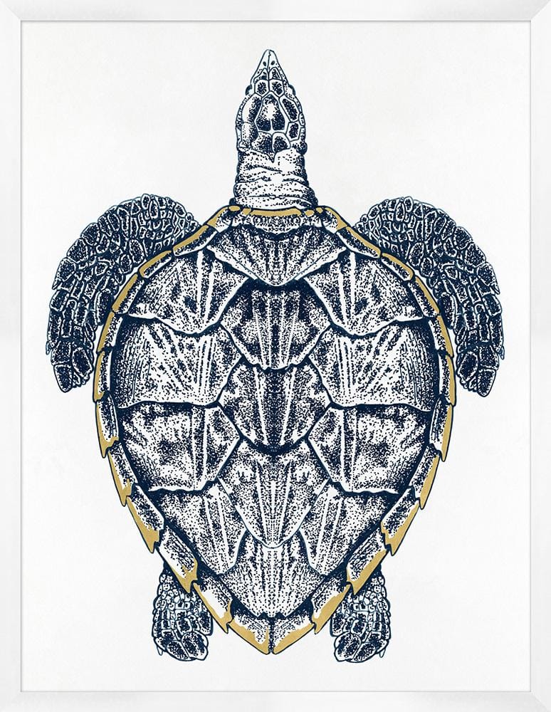 Wendover Art Group - Sea Turtle with Gold Leaf 1, White - WCL1563 veiw 1