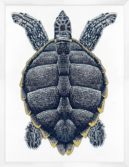 Wendover Art Group - Sea Turtle with Gold Leaf 2, White - WCL1564 view 1