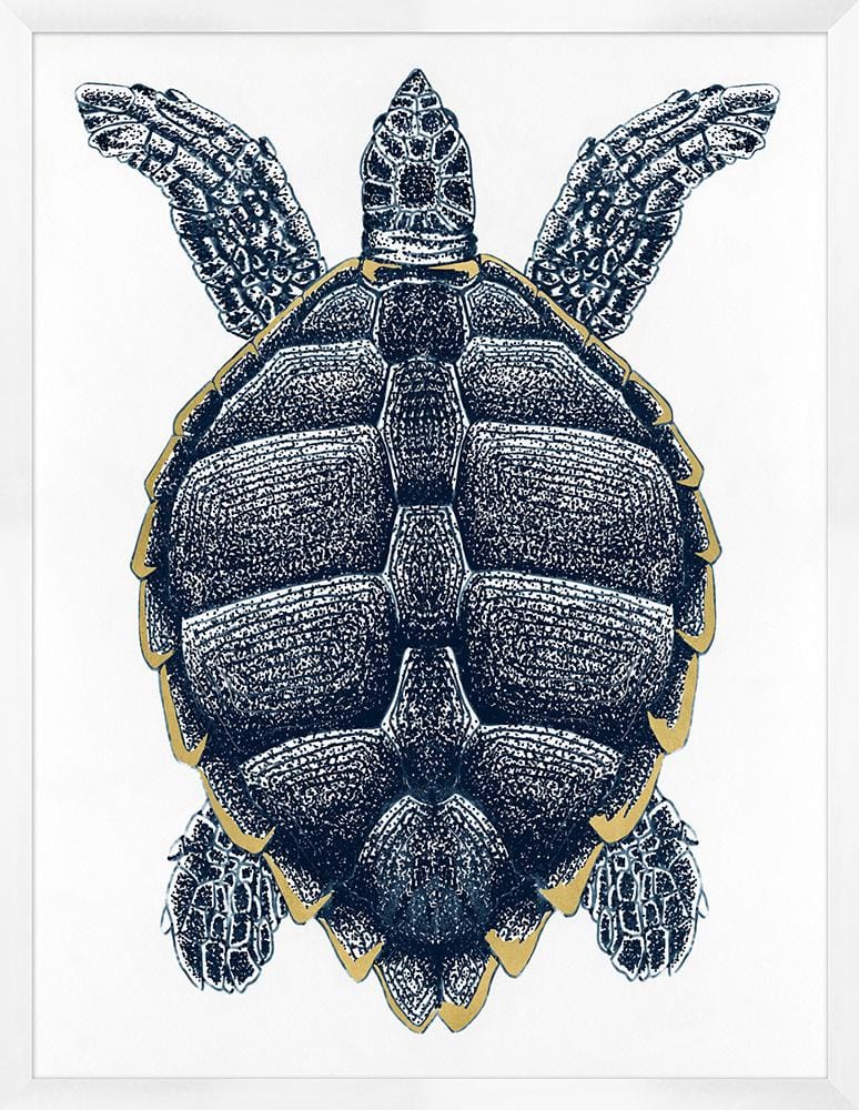 Wendover Art Group - Sea Turtle with Gold Leaf 2, White - WCL1564 veiw 1