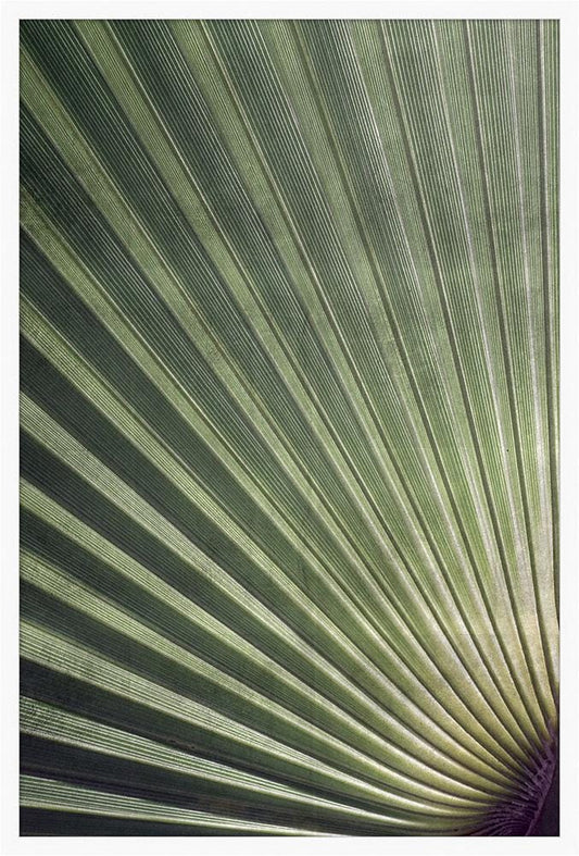 Wendover Art Group - Silver Palmetto 1, Matte White - WPH1502 veiw 1