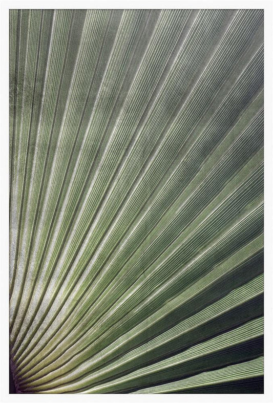 Wendover Art Group - Silver Palmetto 2, Matte White - WPH1503 veiw 1