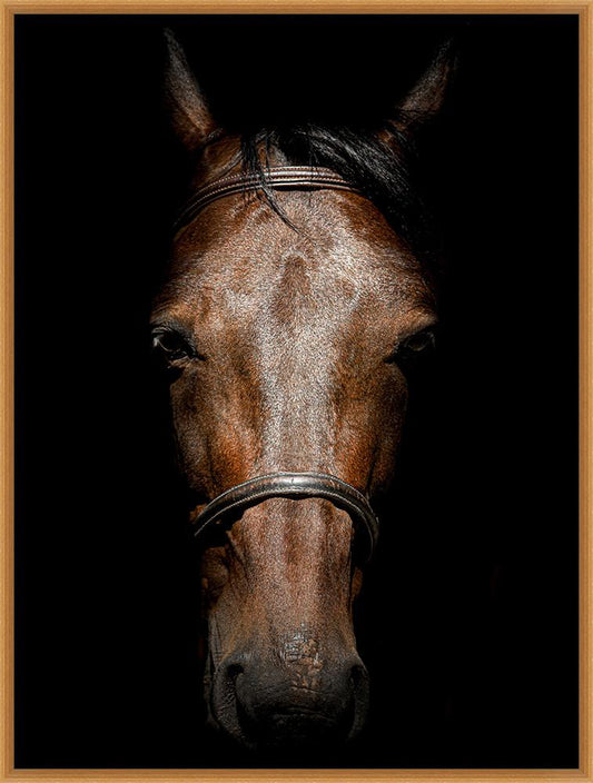Wendover Art Group - Thoroughbred in Shadow, Satin Gold - WPH1913 veiw 1