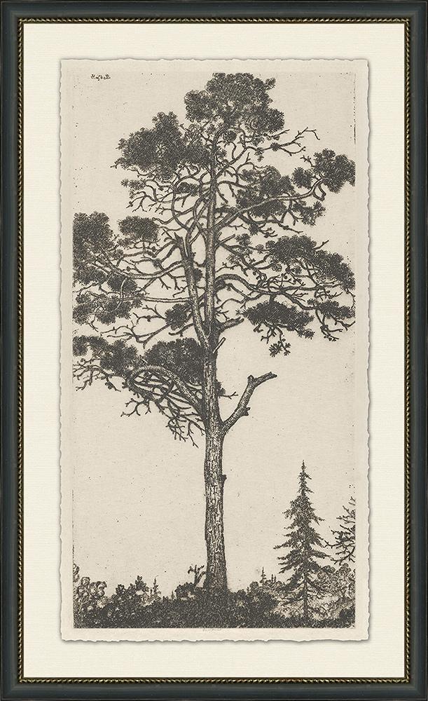 Wendover Art Group - Tree Tops 1, Black - WLD1076 veiw 1