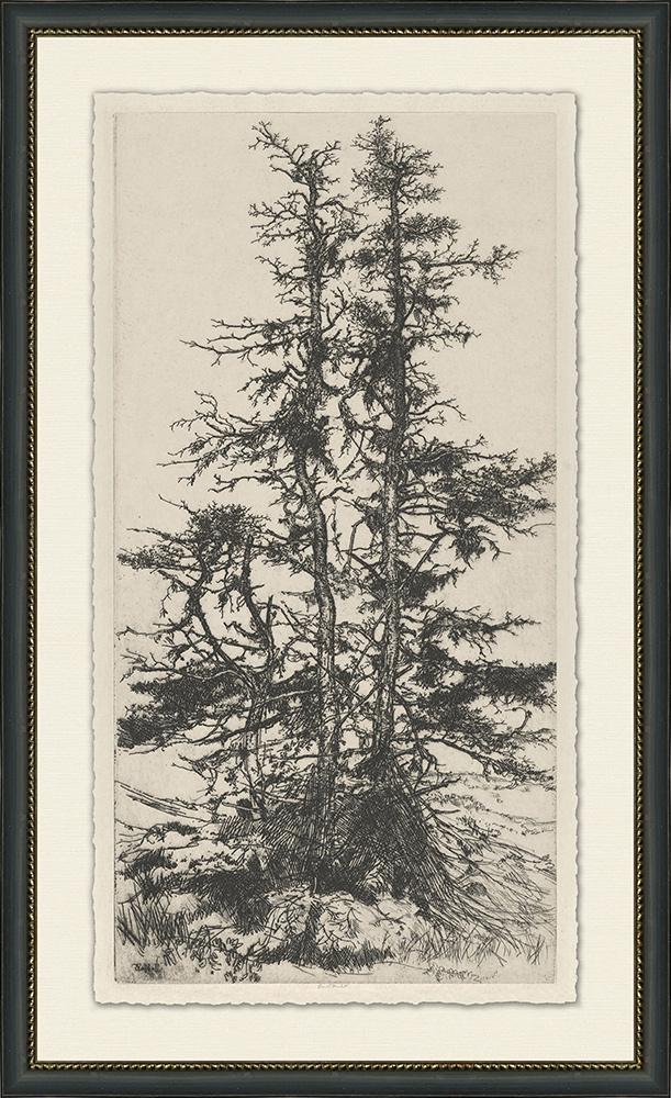 Wendover Art Group - Tree Tops 3, Black - WLD1078 veiw 1