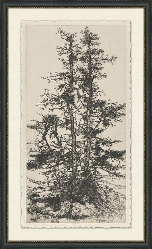 Wendover Art Group - Tree Tops 3, Black - WLD1078 veiw 1