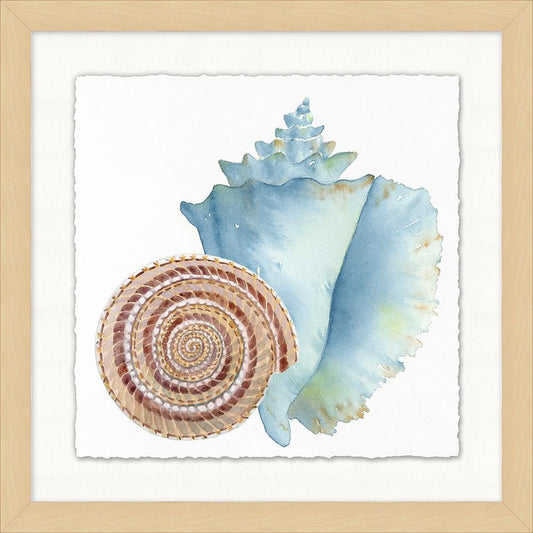 Wendover Art Group - Watercolor Sea Shells 1, Blonde Maple - WCL1339 veiw 1