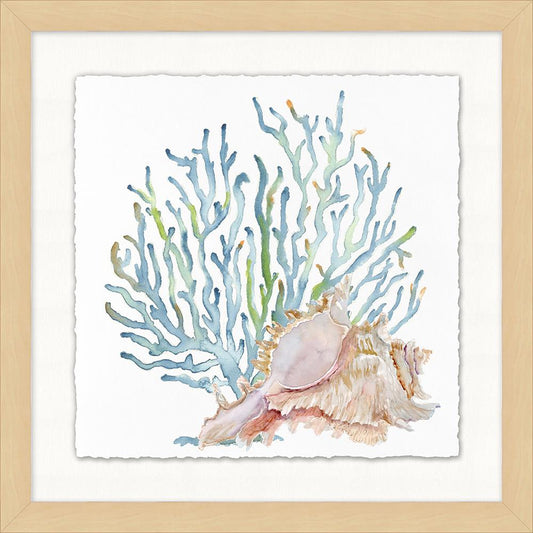 Wendover Art Group - Watercolor Sea Shells 4, Blonde Maple - WCL1342 veiw 1
