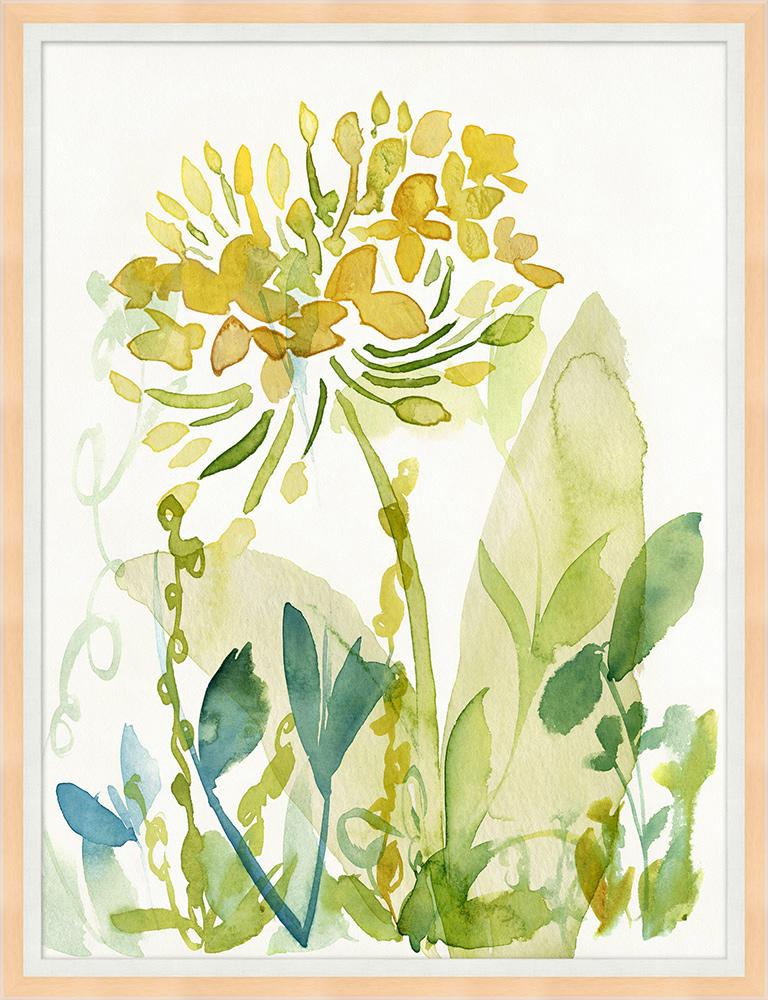 Wendover Art Group - Wild Flowers 1, Blonde Maple - WFL1395 veiw 1