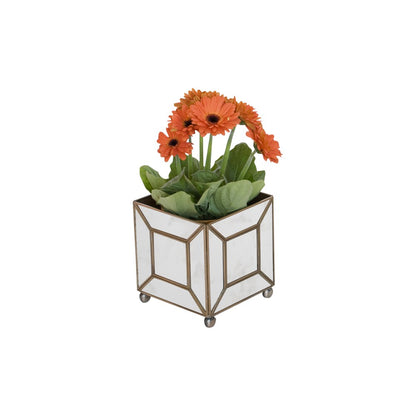 Worlds Away - Ant Mir Classic Planter - MTPAMC view 1