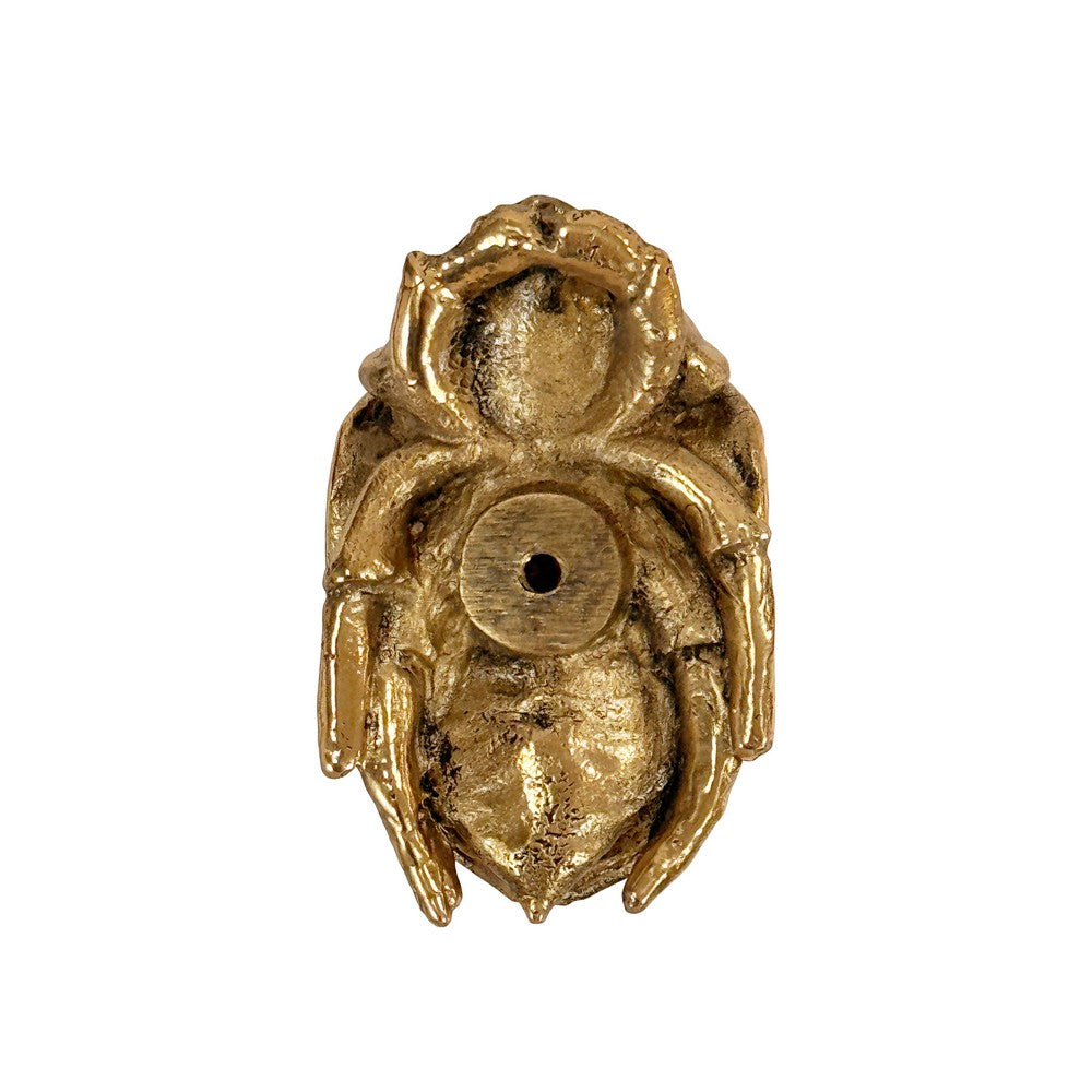 Worlds Away - Beetle Knob In Brass - FORTUNE HABR view 3